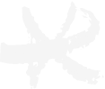 White star
